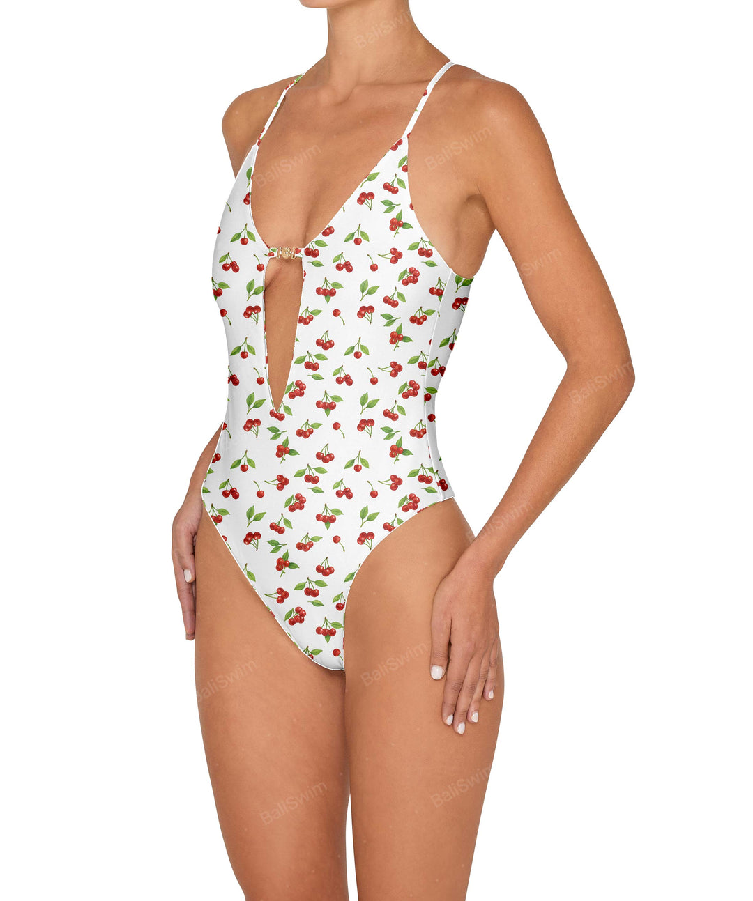 BSWS-S80 Cutout One Piece With Hardware