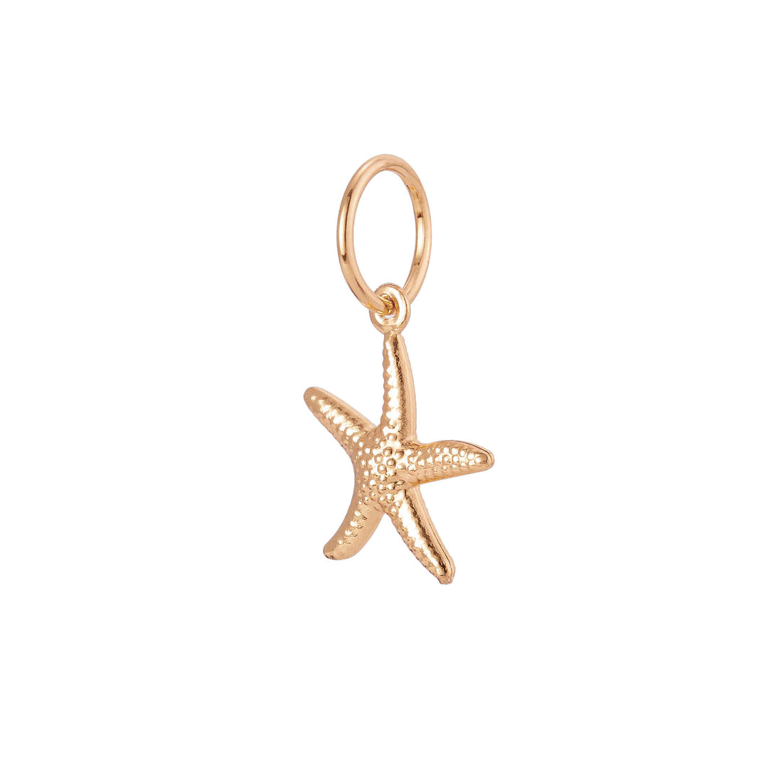 BC-05 Gold Starfish Bikini Charm