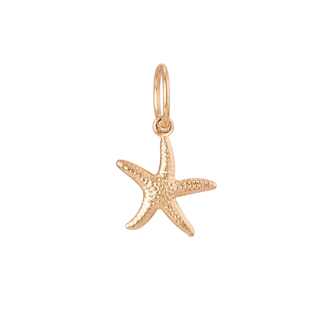 BC-05 Gold Starfish Bikini Charm