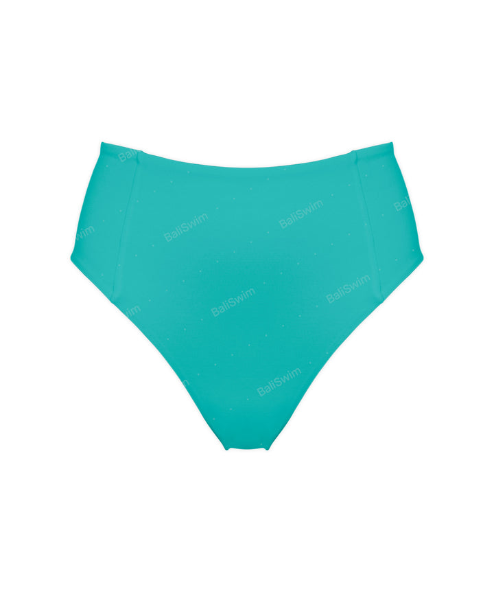 BSWS-B92 High Rise Panel Bikini Bottom