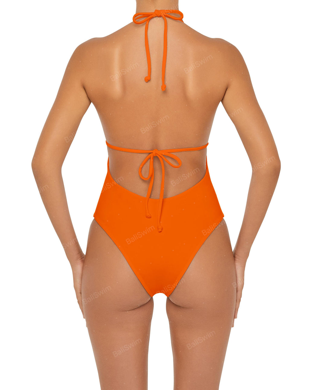 BSWS-S53 Plunge Neck Tunneled Underbust One Piece