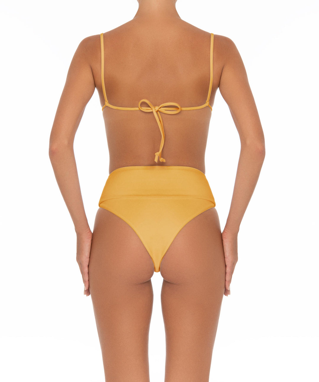 BSWS-B37 High Waisted Wide Band Bikini Bottom