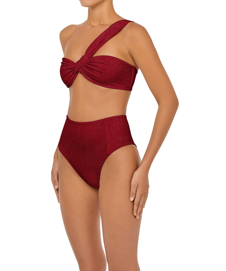 BSWS-B92 High Waisted Princess Seam Bikini Bottom