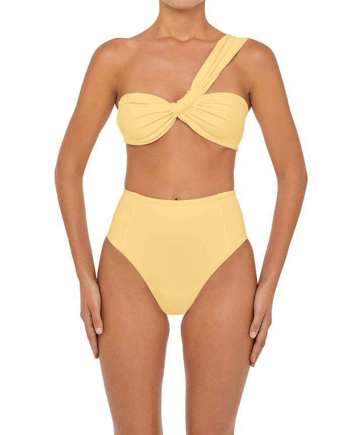 BSWS-B92 High Waisted Princess Seam Bikini Bottom