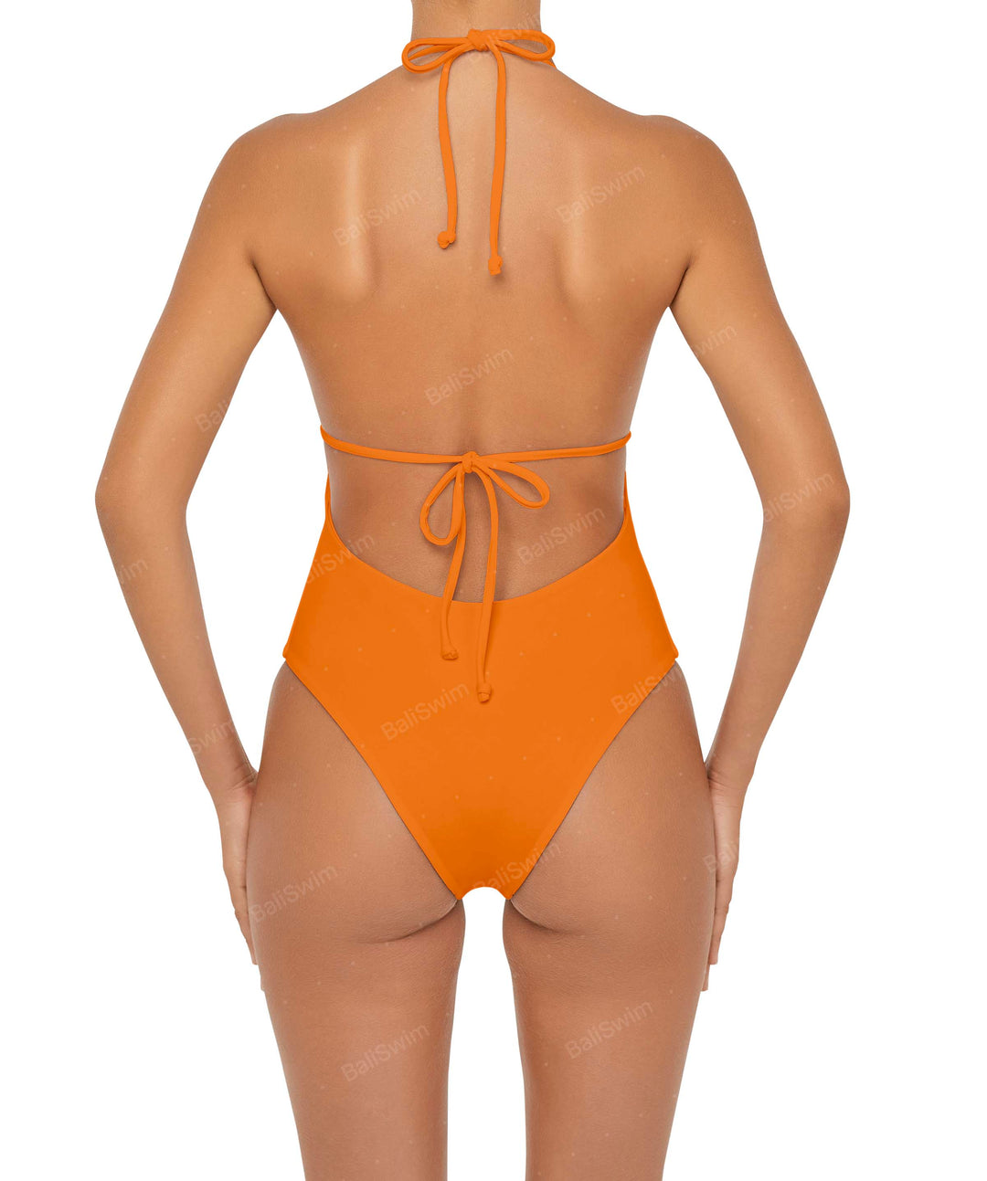 BSWS-S53 Plunge Neck Tunneled Underbust One Piece