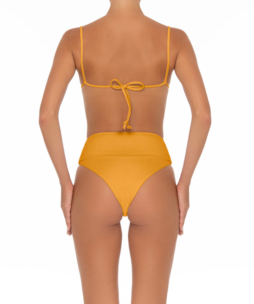 BSWS-B37 High Waisted Wide Band Bikini Bottom