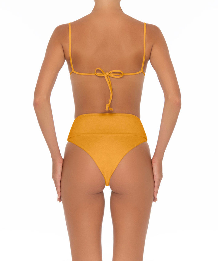 BSWS-B37 High Waisted Wide Band Bikini Bottom