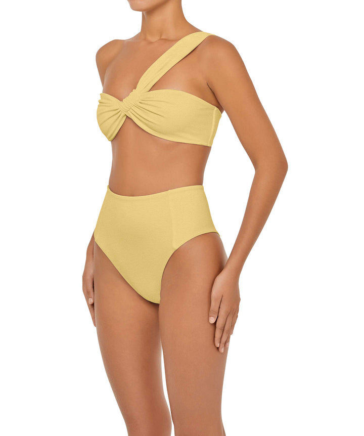 BSWS-B92 High Waisted Princess Seam Bikini Bottom
