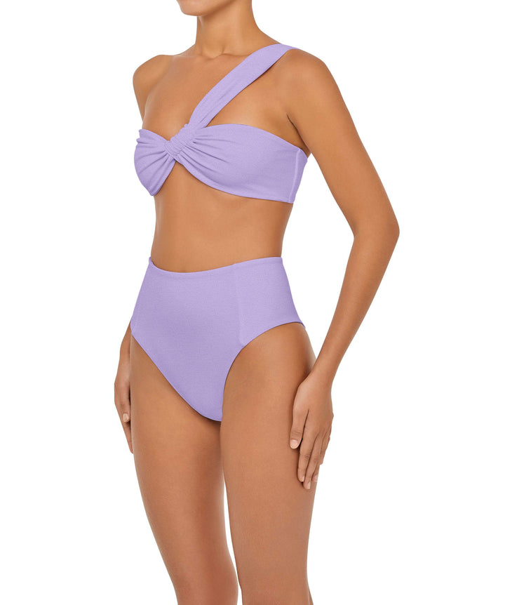 BSWS-B92 High Waisted Princess Seam Bikini Bottom