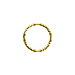 Metal Hardware (Ring)